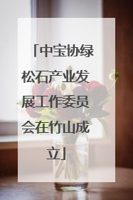 中宝协绿松石产业发展工作委员会在竹山成立
