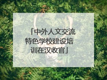 中外人文交流特色学校建设培训在汉收官