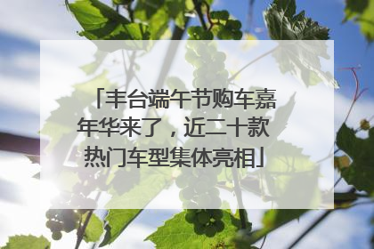 丰台端午节购车嘉年华来了，近二十款热门车型集体亮相