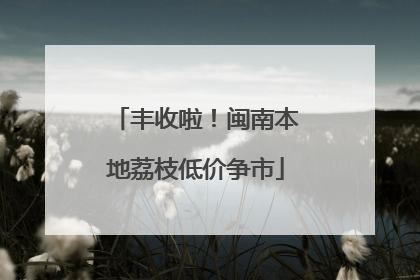 丰收啦！闽南本地荔枝低价争市