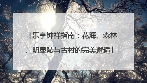 乐享钟祥指南：花海、森林、明显陵与古村的完美邂逅