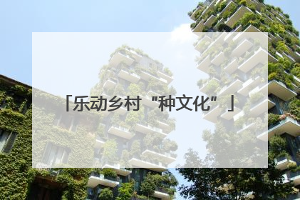 乐动乡村“种文化”