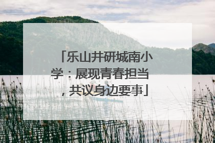 乐山井研城南小学：展现青春担当，共议身边要事