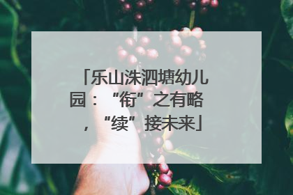 乐山洙泗塘幼儿园：“衔”之有略，“续”接未来