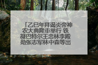 乙巳年拜谒炎帝神农大典隆重举行 铁凝巴特尔王忠林李殿勋张志军林中森等出席 孙伟主持