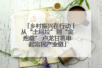 乡村振兴在行动丨从“土坷垃”到“金疙瘩” 卢龙甘薯串起富民产业链