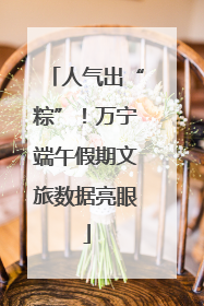 人气出“粽”！万宁端午假期文旅数据亮眼
