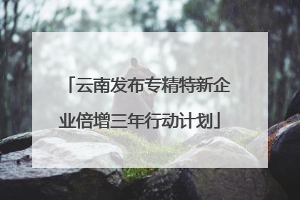 云南发布专精特新企业倍增三年行动计划