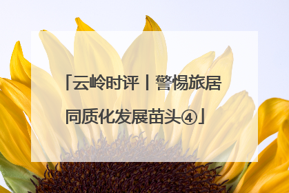 云岭时评丨警惕旅居同质化发展苗头④