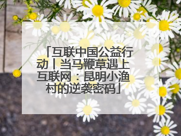 互联中国公益行动丨当马鞭草遇上互联网：昆明小渔村的逆袭密码