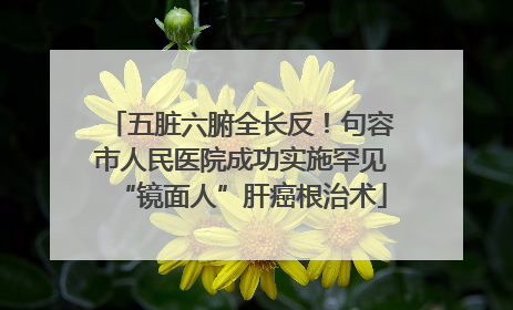 五脏六腑全长反！句容市人民医院成功实施罕见“镜面人”肝癌根治术