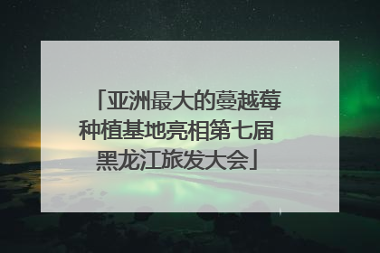 亚洲最大的蔓越莓种植基地亮相第七届黑龙江旅发大会