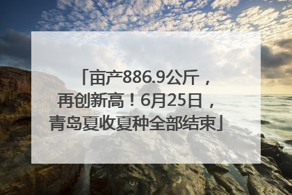 亩产886.9公斤，再创新高！6月25日，青岛夏收夏种全部结束