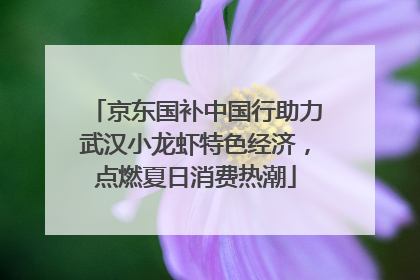 京东国补中国行助力武汉小龙虾特色经济，点燃夏日消费热潮