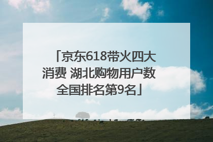 京东618带火四大消费 湖北购物用户数全国排名第9名