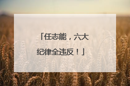 任志能，六大纪律全违反！