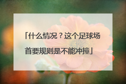 什么情况？这个足球场首要规则是不能冲撞