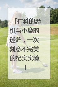 仁科的恐惧与小鹿的迷茫，一次刻意不完美的纪实实验