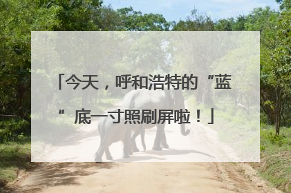 今天，呼和浩特的“蓝”底一寸照刷屏啦！