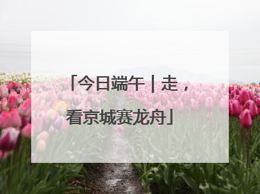 今日端午｜走，看京城赛龙舟