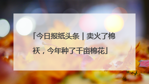 今日报纸头条｜卖火了棉袄，今年种了千亩棉花
