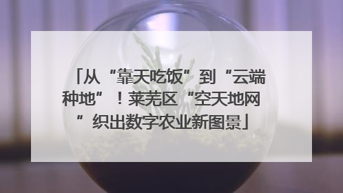 从“靠天吃饭”到“云端种地”！莱芜区“空天地网”织出数字农业新图景