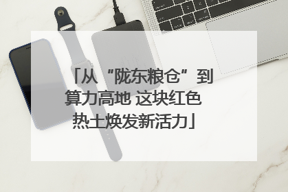 从“陇东粮仓”到算力高地 这块红色热土焕发新活力