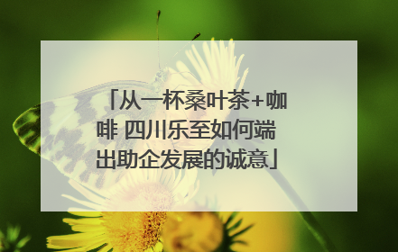 从一杯桑叶茶+咖啡 四川乐至如何端出助企发展的诚意