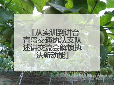 从实训到讲台 青岛交通执法支队述讲交流会解锁执法新动能
