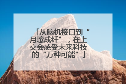 从脑机接口到“月壤成纤”，在上交会感受未来科技的“万种可能”