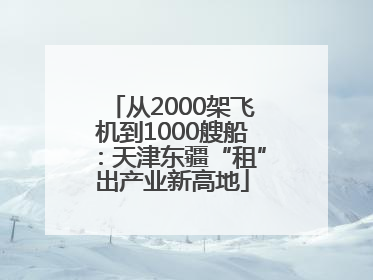 从2000架飞机到1000艘船：天津东疆“租”出产业新高地