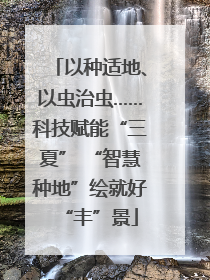 以种适地、以虫治虫……科技赋能“三夏” “智慧种地”绘就好“丰”景