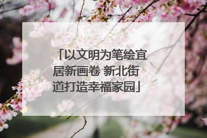 以文明为笔绘宜居新画卷 新北街道打造幸福家园