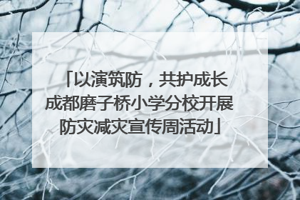 以演筑防，共护成长 成都磨子桥小学分校开展防灾减灾宣传周活动