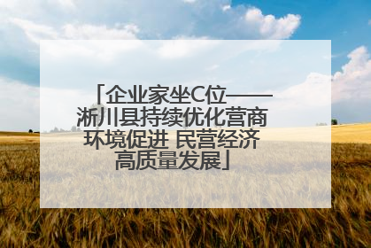 企业家坐C位——淅川县持续优化营商环境促进 民营经济高质量发展
