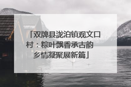 双牌县泷泊镇观文口村：粽叶飘香承古韵 乡情凝聚展新篇
