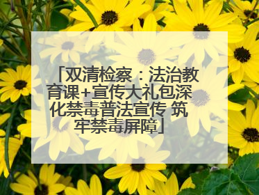 双清检察：法治教育课+宣传大礼包深化禁毒普法宣传 筑牢禁毒屏障