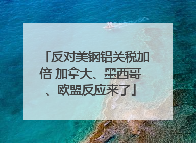 反对美钢铝关税加倍 加拿大、墨西哥、欧盟反应来了