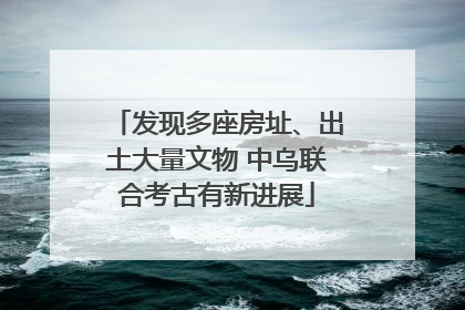 发现多座房址、出土大量文物 中乌联合考古有新进展
