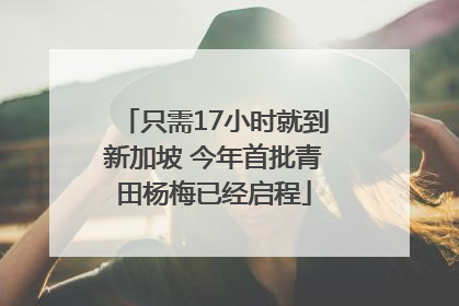 只需17小时就到新加坡 今年首批青田杨梅已经启程
