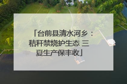 台前县清水河乡：秸秆禁烧护生态 三夏生产保丰收