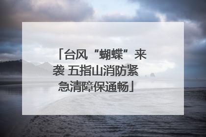 台风“蝴蝶”来袭 五指山消防紧急清障保通畅