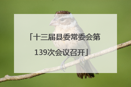 十三届县委常委会第139次会议召开