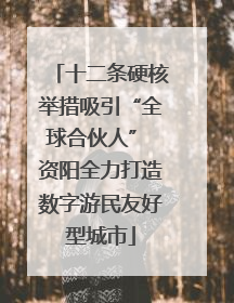 十二条硬核举措吸引“全球合伙人” 资阳全力打造数字游民友好型城市