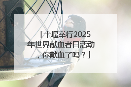 十堰举行2025年世界献血者日活动，你献血了吗？