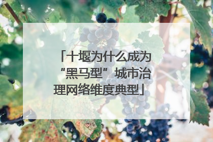 十堰为什么成为“黑马型”城市治理网络维度典型