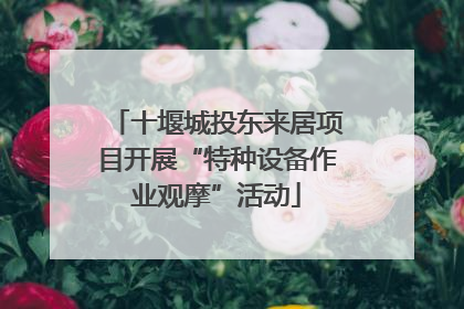 十堰城投东来居项目开展“特种设备作业观摩”活动