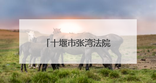 十堰市张湾法院开展“世界环境日”主题教育活动