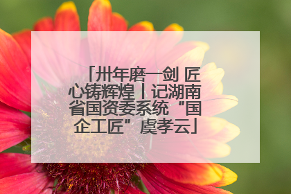 卅年磨一剑 匠心铸辉煌丨记湖南省国资委系统“国企工匠”虞孝云