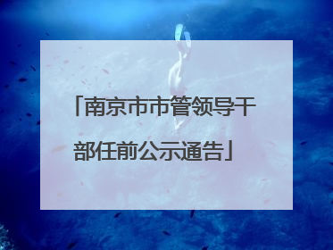 南京市市管领导干部任前公示通告